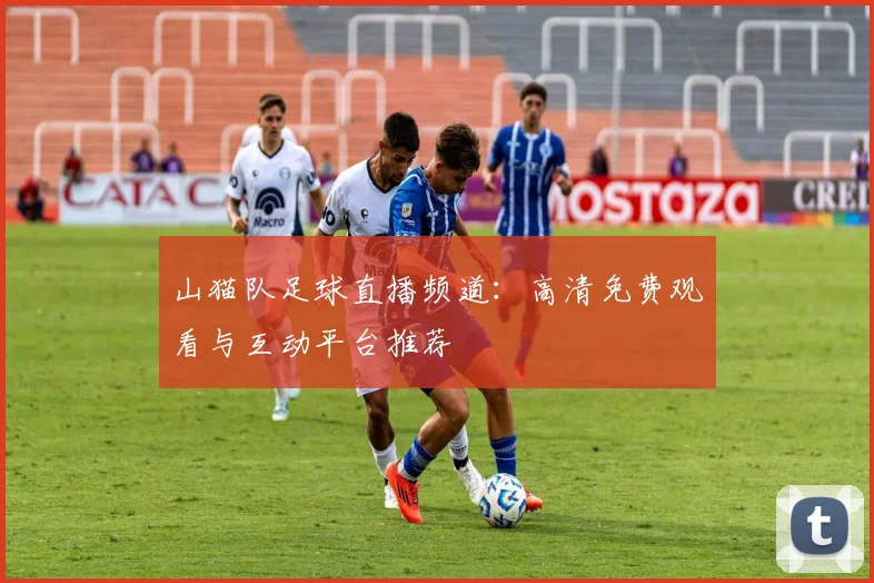 山猫队足球直播频道：高清免费观看与互动平台推荐