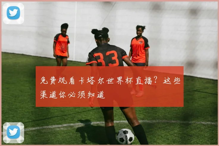 免费观看卡塔尔世界杯直播？这些渠道你必须知道