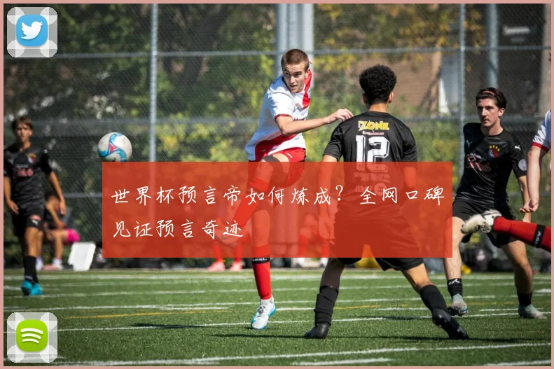 世界杯预言帝如何炼成？全网口碑见证预言奇迹
