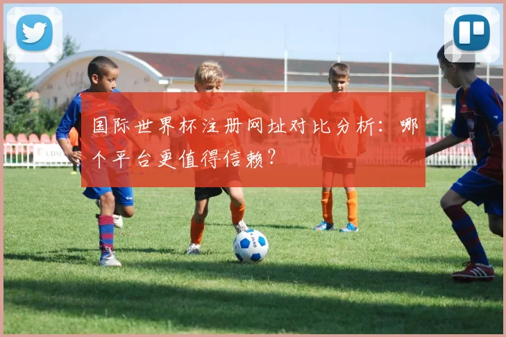 国际世界杯注册网址对比分析：哪个平台更值得信赖？