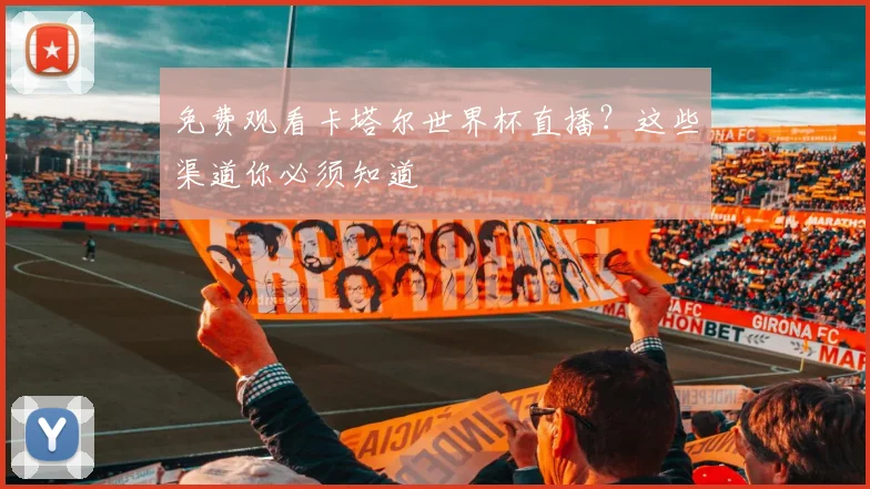 免费观看卡塔尔世界杯直播？这些渠道你必须知道