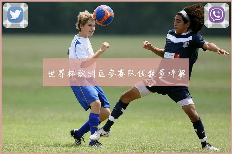 世界杯欧洲区参赛队伍数量详解