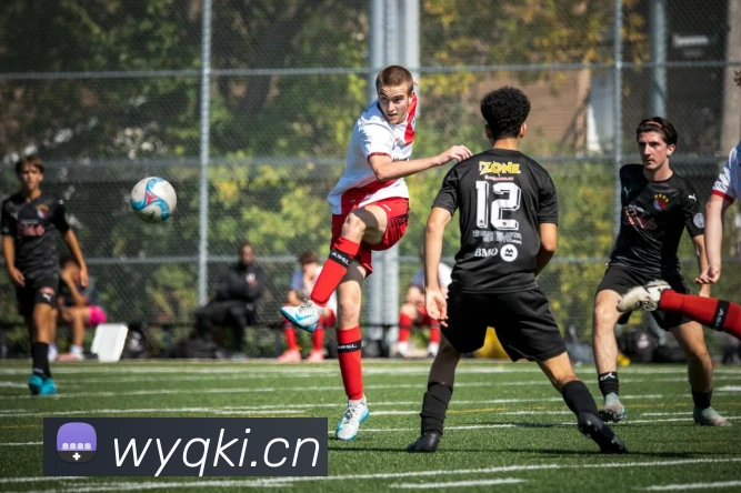 mksports在线登录入口平台生态图
