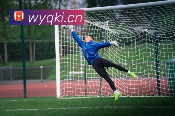 mksports在线登录入口全站App